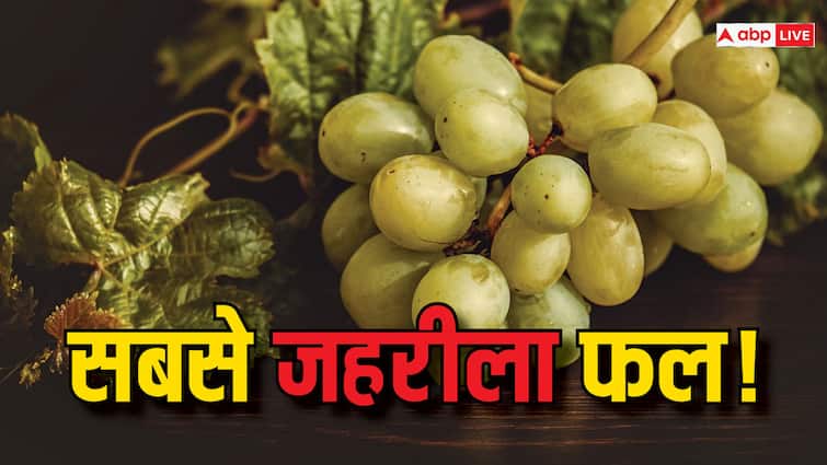 This is the most poisonous fruit know what to do before eating grapes ये है सबसे जहरीला फल...गर्मियों में आपके घर रोज आता है