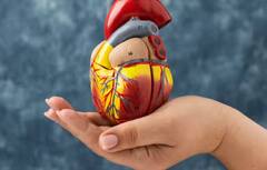 Heart Failure: ਦਿਲ ਦੇ ਮਰੀਜ਼ ਇਨ੍ਹਾਂ ਗੱਲਾਂ ਦਾ ਰੱਖੋ ਖ਼ਾਸ ਧਿਆਨ, ਹੋ ਸਕਦੇ ਹਾਰਟ ਫੇਲੀਅਰ ਦਾ ਸ਼ਿਕਾਰ