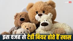 टेडी बियर क्यों होते हैं खास, वैज्ञानिकों ने बताई इसके पीछे की वजह