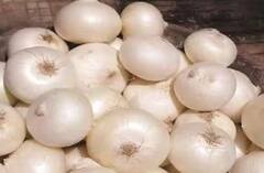 Onion Farming tips: ਹਰੇ ਪਿਆਜ ਦੀ ਖੇਤੀ ਕਰਨ ਲਈ ਅਪਣਾਓ ਇਹ ਤਰੀਕੇ, ਹੋਵੇਗਾ ਚੰਗਾ ਫਾਇਦਾ