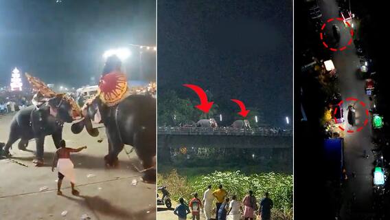 Elephant Fight in Kerala | ఏనుగుల కొట్లాట.. పరుగులు తీసిన జనం..వీడియో వైరల్ | ABP Desam