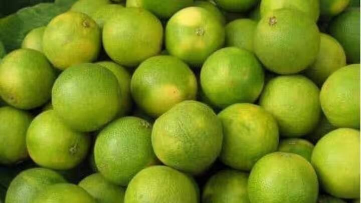 મોસંબીની ખેતી માટે લોમી જમીન યોગ્ય છે. જેમાં યોગ્ય ડ્રેનેજ હોવું જોઈએ. તેની ખેતી માટે, 1.5 થી 2 મીટરની ઊંડાઈવાળી જમીન યોગ્ય છે. આ માટે જમીન 5.5 થી 7.5 P.H હોવી જોઈએ.