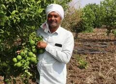Mosambi Farming: ਇਸ ਤਰੀਕੇ ਨਾਲ ਕਰੋ ਮੌਸਮੀ ਦੀ ਖੇਤੀ, ਹੋਵੇਗਾ ਚੰਗਾ ਮੁਨਾਫ਼ਾ
