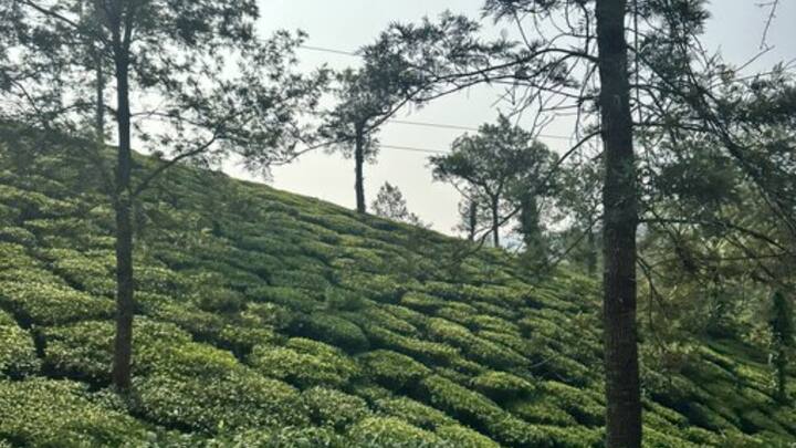 अपने साथ पोर्टेबल चार्जर लें ताकि आपके इलेक्ट्रॉनिक उपकरण हमेशा चार्ज रहें. अक्सर ऐसे स्थानों पर बिजली और चार्जिंग सुविधाएँ उपलब्ध नहीं होती हैं.