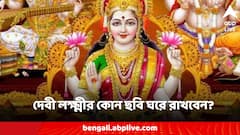 সপ্তাহের শুরুতে বাড়িতে রাখুন মা লক্ষ্মীর এই ছবি, ধনধান্যে পূর্ণ হবে সংসার
