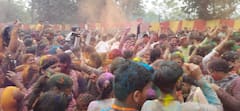 Holi 2024: होली के रंग में रंगा गोरखपुर, अबीर-गुलाल और रंगों से सराबोर हुए लोग, देखें तस्वीरें