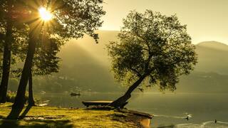 TN Weather: தமிழகத்தில் வெப்பநிலை படிப்படியாக அதிகரிக்கும்.. எத்தனை தினங்களுக்குத் தெரியுமா?