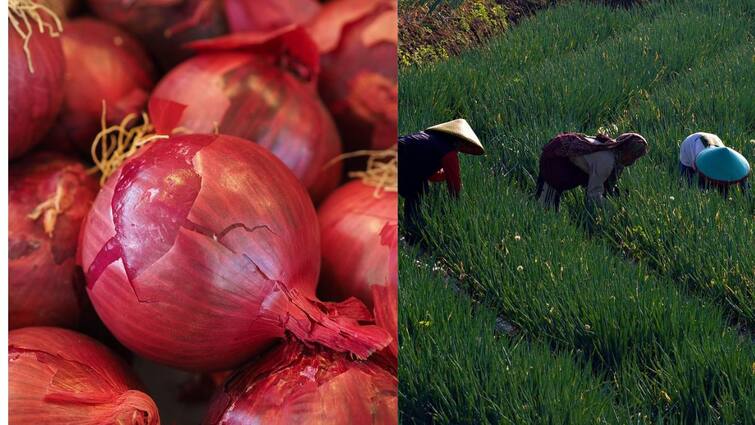 India extends ban on onion exports indefinitely ahead of lok sabha 2024 Onion Export: தேர்தல் வியூகமாக வெங்காய ஏற்றுமதிக்கு தடையா? கவலையில்  விவசாயிகள்; என்ன நடக்கிறது?