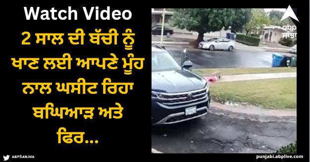 coyote attacks toddler brave father save 2 year old daughter coyote attack video Viral Video: 2 ਸਾਲ ਦੀ ਬੱਚੀ ਨੂੰ ਖਾਣ ਲਈ ਆਪਣੇ ਮੂੰਹ ਨਾਲ ਘਸੀਟ ਰਿਹਾ ਬਘਿਆੜ ਅਤੇ ਫਿਰ...