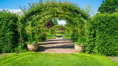 क्या केमिकल वाले रंग का पेड़ों पर भी होता है असर? ये गलती की तो सारे पौधे हो जाएंगे खराब