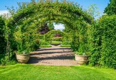 Chemical Colour On Tress: ਕੀ ਕੈਮੀਕਲ ਵਾਲੇ ਰੰਗਾਂ ਦਾ ਦਰੱਖਤਾਂ ‘ਤੇ ਵੀ ਹੁੰਦਾ ਅਸਰ? ਕੀਤੀ ਆਹ ਗ਼ਲਤੀ ਤਾਂ ਸਾਰੇ ਪੌਦੇ ਹੋ ਜਾਣਗੇ ਖ਼ਰਾਬ