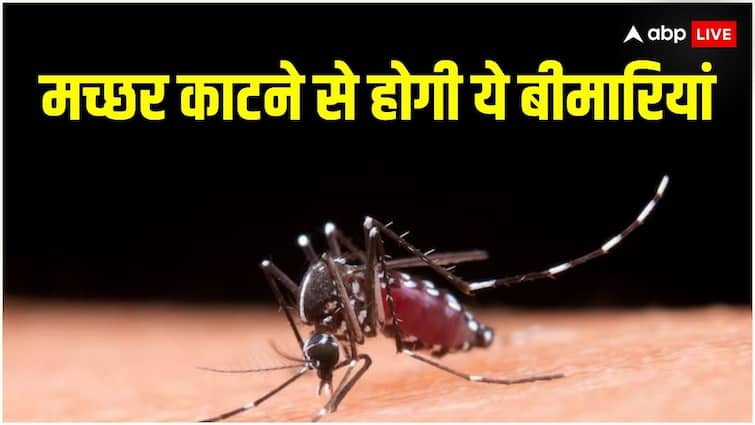 कई बीमारियों का कारण है मच्छर, अगर ये तरीके अपनाएंगे तो एक भी मच्छर पास नहीं आएगा