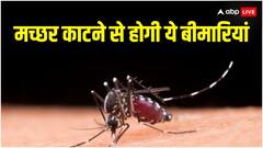 कई बीमारियों का कारण है मच्छर, अगर ये तरीके अपनाएंगे तो एक भी मच्छर पास नहीं आएगा