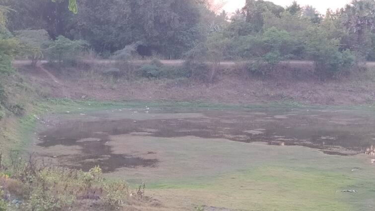 fishes died in kumbakonam on Dry pond without water due to summer Kumbakonam: கடும் வெயில்; வறண்டுபோன குளங்கள்! செத்து கருவாடாகும் மீன்கள்! கும்பகோணத்தில் பரிதாபம்