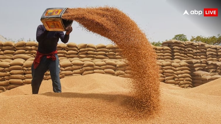 Atta Price Hike Government Keeps close Eye On Wheat price says sufficient stock available Wheat Price Hike: गेहूं की कीमतों में आई उछाल के बाद सरकार सतर्क, बोली - पर्याप्त बफर स्टॉक है मौजूद