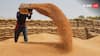 Wheat Price Hike: गेहूं की कीमतों में आई उछाल के बाद सरकार सतर्क, बोली - पर्याप्त बफर स्टॉक है मौजूद