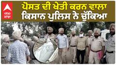 Batala Police|ਪੋਸਤ ਦੀ ਖੇਤੀ ਕਰਨ ਵਾਲਾ ਕਿਸਾਨ ਪੁਲਿਸ ਨੇ ਚੁੱਕਿਆ
