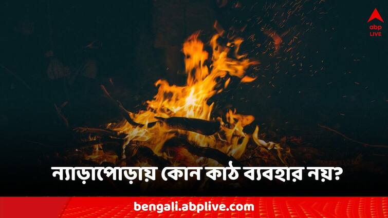 Dol Yatra Holika Dahan 2024 Nyara Pora Rituals before holi Holika Dahan: আজ ন্যাড়া পোড়া, রোগমুক্তি-অশুভ বিনাশের দিন, এদিন আগুনে কোন কাঠ ভুলেও পোড়াবেন না?