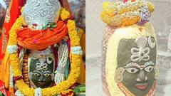 Holi 2024: महाकाल मंदिर में 51 क्विंटल फूलों से खेली गई होली, देखें बाबा के दरबार की अद्भुत तस्वीरें