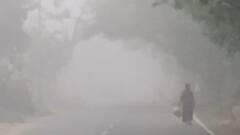 गोरखपुर में फिर बदला मौसम, सुबह छाया रहा कोहरा, ठंड का हुआ एहसास