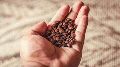 Flax seeds: நார்ச்சத்து நிறைந்த ஆளி விதையை பயன்படுத்துவது எப்படி?