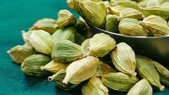 Cardamom: சரும ஆரோக்கியத்திற்கு உதவுமா ஏலக்காய்! தெரிஞ்சிக்கோங்க!