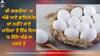 Egg in summer: ਕੀ ਗਰਮੀਆਂ 'ਚ ਅੰਡੇ ਖਾਣੇ ਸਹੀ ਜਾਂ ਗਲਤ? ਫਾਇਦੇ ਦੀ ਥਾਂ ਹੋ ਸਕਦਾ ਨੁਕਸਾਨ? ਜਾਣੋ ਇੱਕ ਦਿਨ 'ਚ ਕਿੰਨੇ ਅੰਡੇ ਖਾਣੇ ਚਾਹੀਦੇ