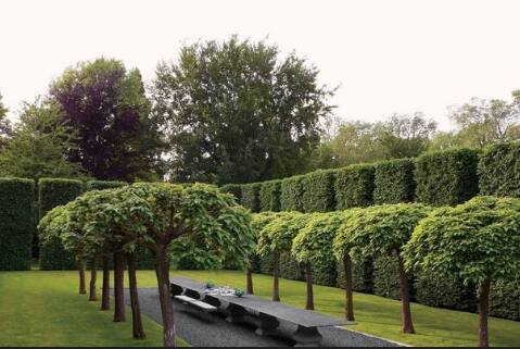 ਵੱਖ-ਵੱਖ ਤਰ੍ਹਾਂ ਦੇ ਕੈਮੀਕਲ ਦਾ ਵੱਖਰਾ ਪ੍ਰਭਾਵ ਪੈਂਦਾ ਹੈ। ਕੈਮੀਕਲ ਵਾਲੇ ਰੰਗਾਂ ਨਾਲ ਪੌਦਿਆਂ ਦਾ ਵਿਕਾਸ ਰੁੱਕ ਸਕਦਾ ਹੈ। ਇਸ ਕਰਕੇ ਹੋਲੀ ਖੇਡਣ ਵੇਲੇ ਇਨ੍ਹਾਂ ਗੱਲਾਂ ਦਾ ਖਾਸ ਧਿਆਨ ਰੱਖਣਾ ਚਾਹੀਦਾ ਹੈ ਕਿ ਰੰਗ ਪੌਦਿਆਂ ‘ਤੇ ਨਾ ਡਿੱਗੇ।