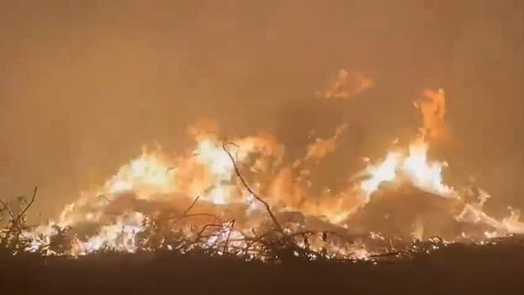 Fire Breaks Out At Dumping Ground Near Noida City Centre In Uttar Pradesh, 15 Tenders At Spot To Douse Blaze