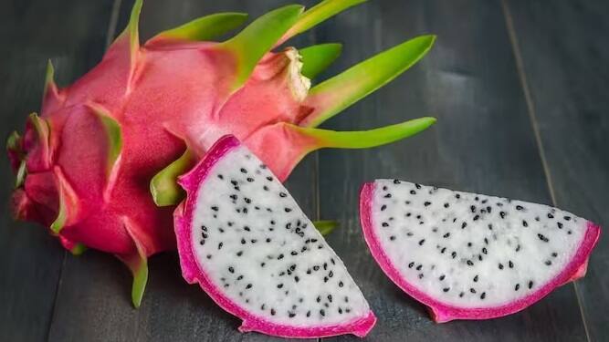 ભારતમાં હવે ખેડૂતો પરંપરાગત ખેતી સિવાય વિવિધ પ્રકારની ખેતી કરી રહ્યા છે. જેમાંથી તેમને સારો નફો પણ મળી રહ્યો છે. ખેડૂતો વિવિધ ફળોની ખેતી પણ કરી રહ્યા છે. એવું જ એક ફળ છે જે ખેડૂતોને ઘણો ફાયદો આપી રહ્યું છે.