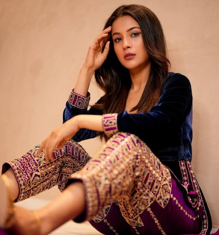 ਹਾਲ ਹੀ ਵਿੱਚ ਅਦਾਕਾਰਾ ਵੱਲੋਂ ਆਪਣੇ ਸੋਸ਼ਲ ਮੀਡੀਆ ਹੈਂਡਲ ਇੰਸਟਾਗ੍ਰਾਮ ਹੈਂਡਲ ਉੱਪਰ ਪੰਜਾਬੀ ਲੁੱਕ ਵਿੱਚ ਸ਼ਾਨਦਾਰ ਤਸਵੀਰਾਂ ਸ਼ੇਅਰ ਕੀਤੀਆਂ ਗਈਆਂ ਹਨ।