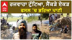 Mansa Canal Broke| ਰਜਵਾਹਾ ਟੁੱਟਿਆ, ਸੈਂਕੜੇ ਏਕੜ ਫਸਲ 'ਚ ਭਰਿਆ ਪਾਣੀ