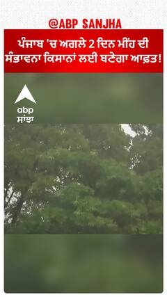 Punjab Weather Update |ਪੰਜਾਬ 'ਚ ਅਗਲੇ 2 ਦਿਨ ਮੀਂਹ ਦੀ ਸੰਭਾਵਨਾ, ਕਿਸਾਨਾਂ ਲਈ ਬਣੇਗਾ ਆਫ਼ਤ!