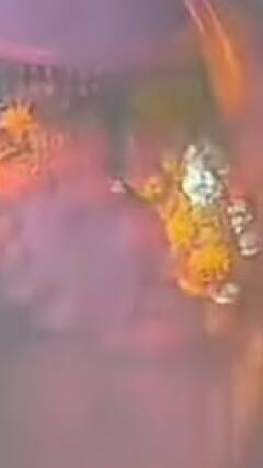 उज्जैन में भस्म आरती के समय 14 लोग झुलसे | abp shorts