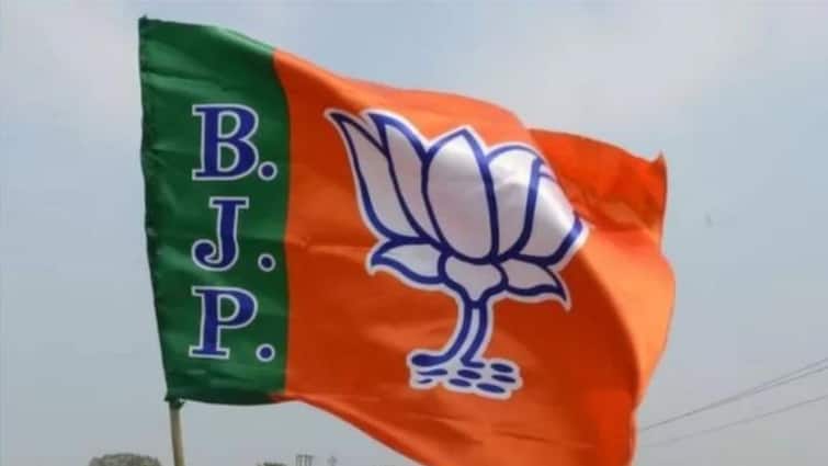 Lok Sabha Election 2024 Karnataka Candidates BJP Hindutva Poster Boy Anantkumar Hegde Out Second Chance For Two BJP Candidates List: हिंदुत्व का पोस्टर ब्वॉय बाहर, दो को दूसरा मौका, जानें पांचवीं सूची में बीजेपी ने कर्नाटक में किसे बनाया कैंडिडेट