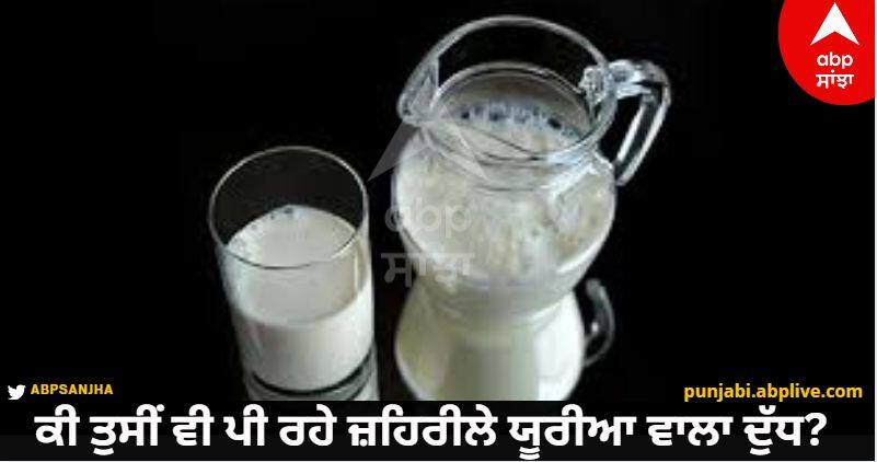 ਸਾਵਧਾਨ! ਕੀ ਤੁਸੀਂ ਵੀ ਪੀ ਰਹੇ ਜ਼ਹਿਰੀਲੇ ਯੂਰੀਆ ਵਾਲਾ ਦੁੱਧ? ਪੀਣ ਤੋਂ ਪਹਿਲਾਂ ਸਿਰਫ਼ 30 ਸਕਿੰਟਾਂ 'ਚ ਕਰ ਲਵੋ ਚੈੱਕ