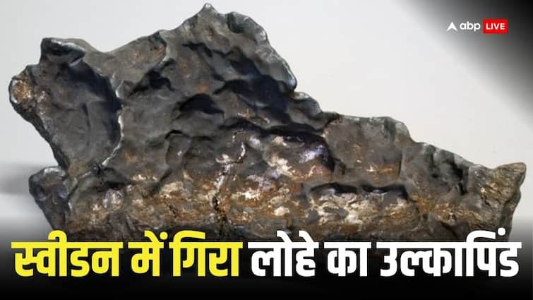 Iron meteorite fallen from space in Sweden Legal battle going on between land owner and scientists Iron Meteorite: स्वीडन में अंतरिक्ष से गिरे दुर्लभ उल्कापिंड, अब इसको लेकर क्यों हो रही लड़ाई