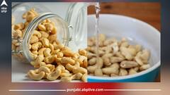 Soaked Cashews: ਪਾਚਨ ਤੋਂ ਲੈ ਕੇ ਸਕਿਨ ਤੱਕ ਭਿੱਜੇ ਹੋਏ ਕਾਜੂ ਵਰਦਾਨ, ਜਾਣੋ ਇਸ ਦੇ ਹੋਰ ਫਾਇਦੇ