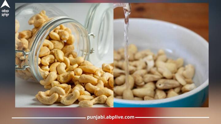 Health News: ਕਰੀਮੀ ਵ੍ਹਾਈਟ ਰੰਗ ਵਾਲਾ ਕਾਜੂ ਜੋ ਕਿ ਡ੍ਰਾਈ ਫਰੂਟਸ ਦੇ ਵਿੱਚੋਂ ਇੱਕ ਹੈ। ਇਹ ਖਾਣ ਵਿਚ ਬਹੁਤ ਹੀ ਸਵਾਦਿਸ਼ਟ ਹੁੰਦਾ ਹੈ। ਜਿਸ ਕਰਕੇ ਬਹੁਤ ਸਾਰੇ ਲੋਕਾਂ ਦਾ ਇਹ ਮਨਪਸੰਦੀਦਾ ਡ੍ਰਾਈ ਫਰੂਟਸ ਹੁੰਦਾ ਹੈ।