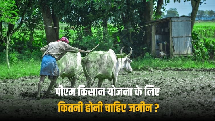 PM Kisan Yojana farmer with one farm can also get benefit of Scheme land limit for Kisan Yojana PM Kisan Yojana: क्या एक खेत वाले किसान को भी मिल सकता है पीएम किसान योजना का लाभ?