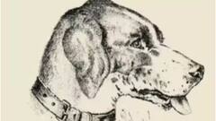 Optical Illusion: इस तस्वीर में छिपा है एक इंसानी चेहरा, ढूंढने के लिए पांच सेकेंड का है चैलेंज