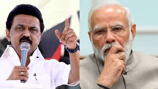 CM Stalin: ”பிரதமர் மோடி விஷ்வ குருவா? மவுன குருவா?' தூத்துக்குடி பரப்புரையில் முதல்வர் ஸ்டாலின் விளாசல்!