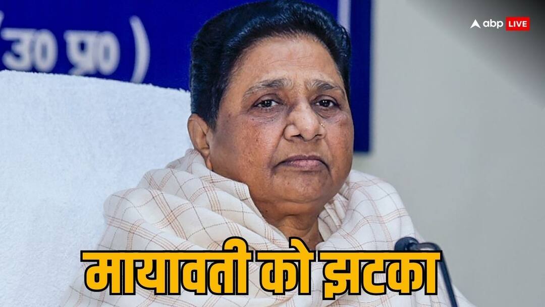 TV9 Bharatvarsh Survey: पिछली बार जिन सीटों पर जीती थी BSP, इस बार वहां किसको मिल सकती है जीत? सर्वे ने चौंकाया Lok Sabha Election 2024 BJP will win seats where BJP won last time ghazipur nagina TV9 Bharatvarsh survey TV9 Bharatvarsh Survey: पिछली बार जिन सीटों पर जीती थी BSP, इस बार वहां किसको मिल सकती है जीत? सर्वे ने चौंकाया