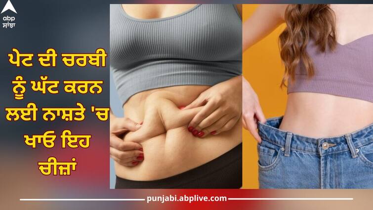 Weight Loss: Eat these things for breakfast to reduce stomach fat, belly fat will disappear in a few days Weight Loss: ਪੇਟ ਦੀ ਚਰਬੀ ਨੂੰ ਘੱਟ ਕਰਨ ਲਈ ਨਾਸ਼ਤੇ 'ਚ ਖਾਓ ਇਹ ਚੀਜ਼ਾਂ, ਕੁੱਝ ਹੀ ਦਿਨਾਂ ਦੇ ਵਿੱਚ ਬੈਲੀ ਫੈਟ ਹੋ ਜਾਵੇਗਾ ਗਾਇਬ