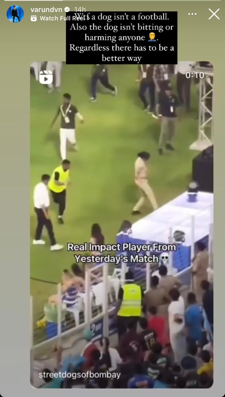 Varun Dhawan Condemns IPL Ground Staff For Mistreating Stray Dog During MI Vs GT Match
