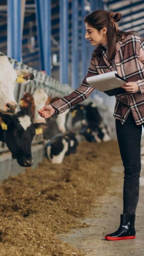 गर्मी में बीमार नहीं होंगे पशु, इन बातों का रखें ख्याल