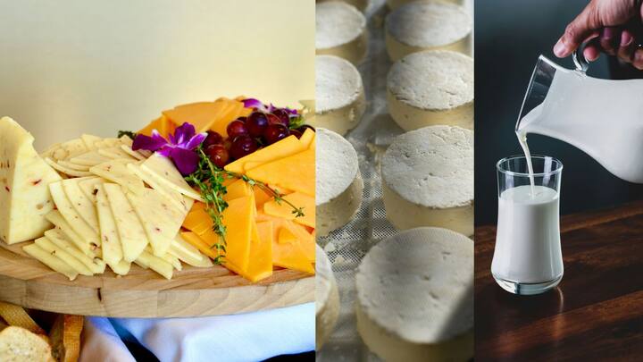 பால், சீஸ் உள்ளிட்டவற்றையும் டயட்டில் இருக்கும்படி பார்த்துகொள்ளுங்கள். ஜிங்க் உடலுக்குத் தேவையான வைட்டமின்களை வழங்கும்.