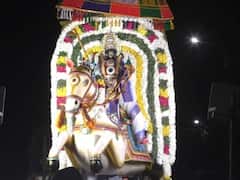கரூர் கல்யாண பசுபதீஸ்வரர் ஆலயத்தில் பங்குனி உத்திரத்தை முன்னிட்டு திருவீதி உலா