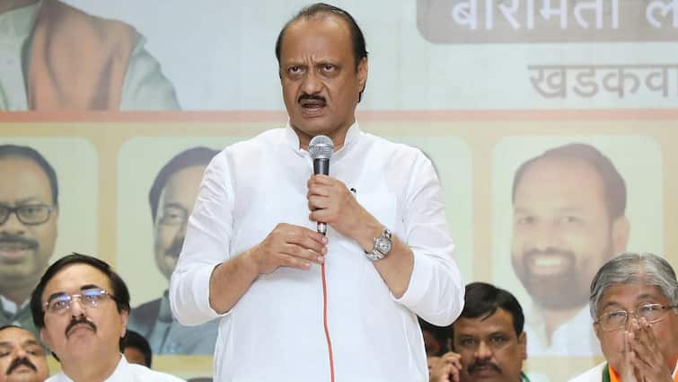 Ajit Pawar on why NCP get only 3 Lok Sabha seats in Mahayuti Seat sharing Ajit Pawar: राष्ट्रवादीला फक्त 3 जागा मिळाल्या म्हणून ओरडणाऱ्यांना अजितदादांनी फैलावर घेतलं, स्पष्टच म्हणाले....