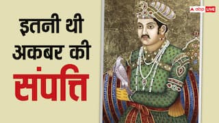 मुगल बादशाह अकबर की नेटवर्थ कितनी थी? आंकड़ा इतना कि आज के अरबपति भी शरमा जाएं
